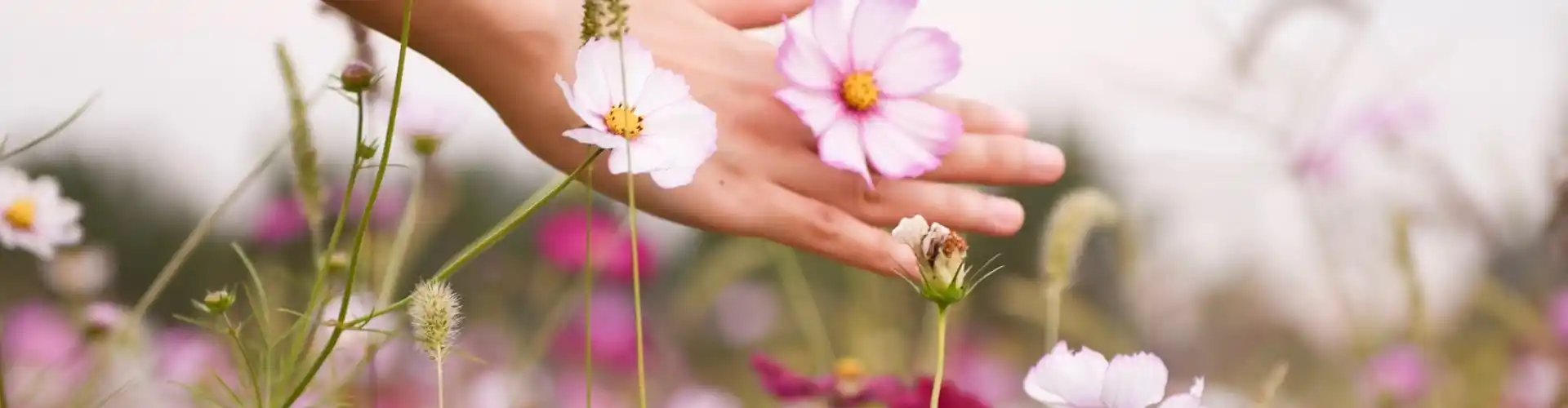 Reiki-Meisterschaftswochenende